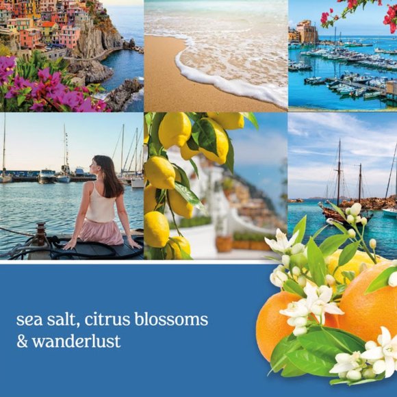 Yankee Candle Accents New Yankee Candle Mediterranean Breeze Signature Medium Pillar Candle